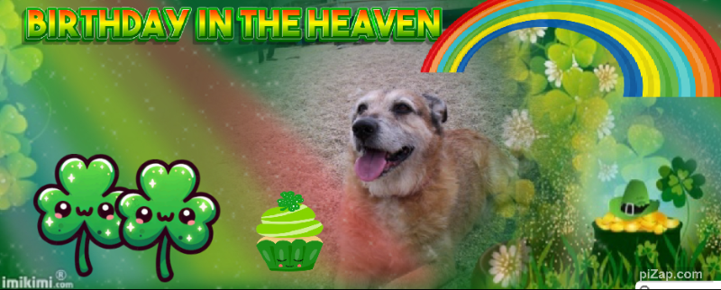 Asiya uploaded   51  day/s  ago