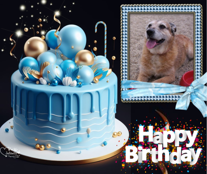 Asiya uploaded   51  day/s  ago