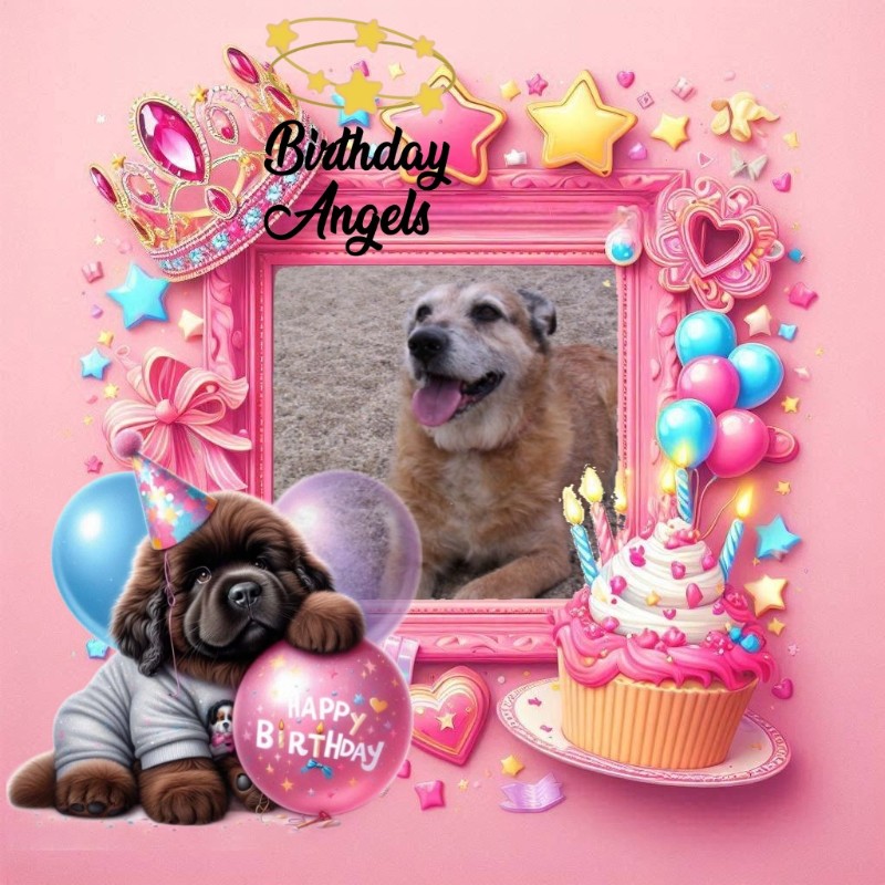 Asiya uploaded   51  day/s  ago