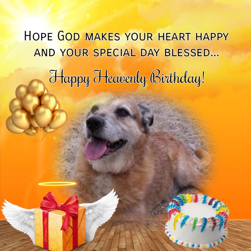 Asiya uploaded   51  day/s  ago