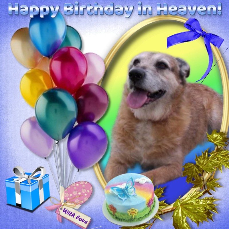 Asiya uploaded   51  day/s  ago