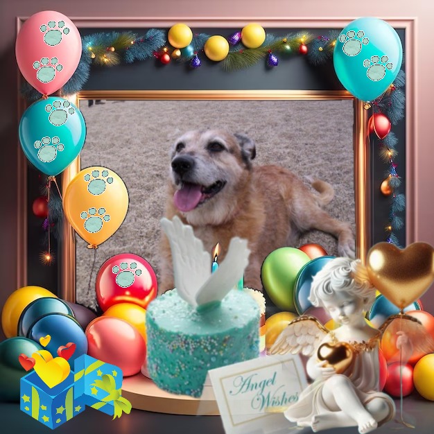 Asiya uploaded   50  day/s  ago