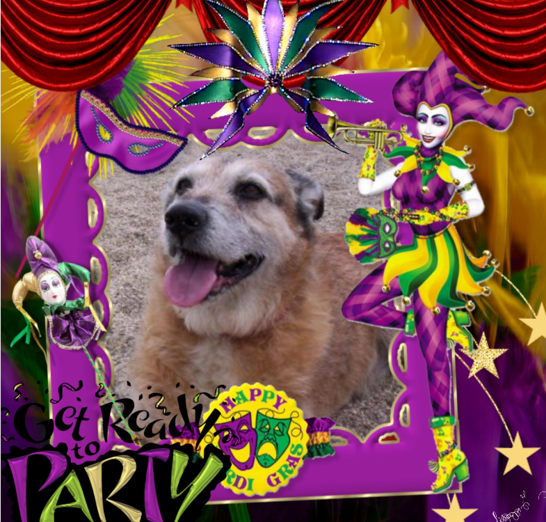 Freddy of the Asiya family