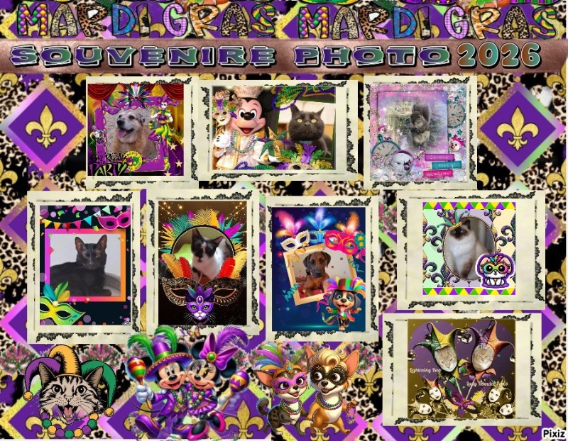 Freddy of the Asiya family