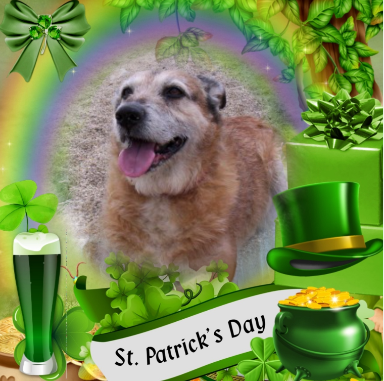 Freddy of the Asiya family