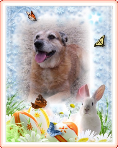 Asiya uploaded   15  day/s  ago