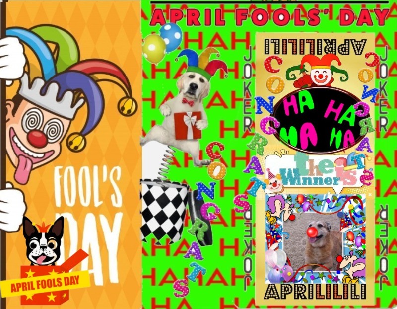 Asiya uploaded   9  day/s  ago