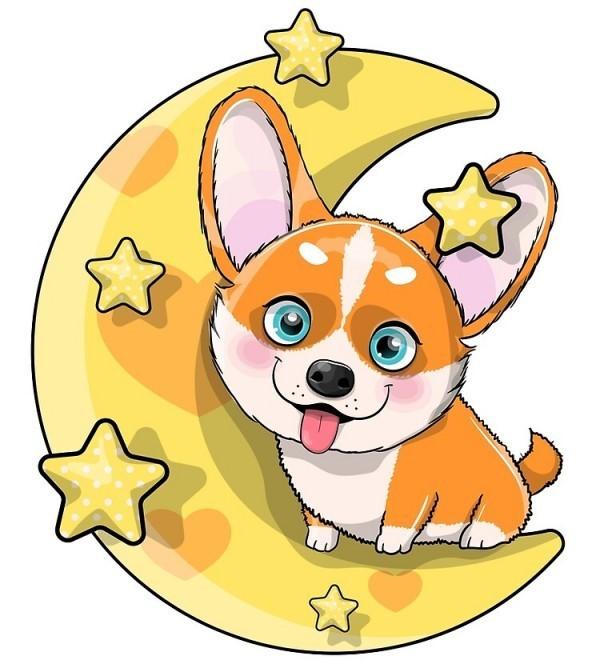 Asiya uploaded   2 year/s ago