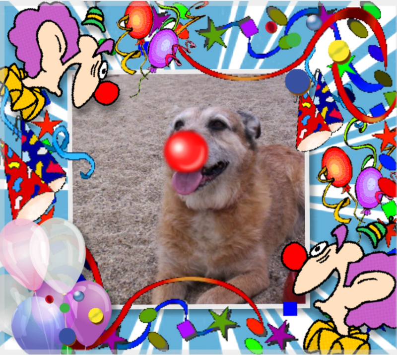 Asiya uploaded   13  day/s  ago