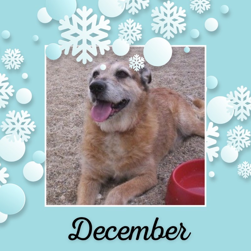 Freddy of the Asiya family