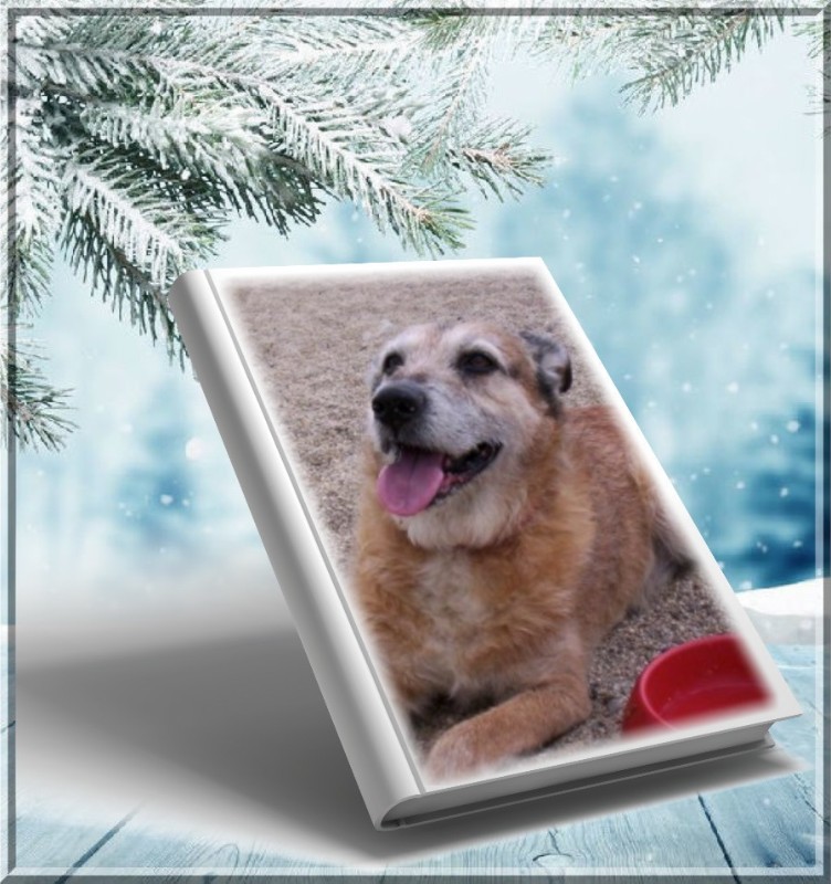 Freddy of the Asiya family