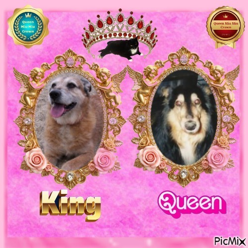 Freddy of the Asiya family