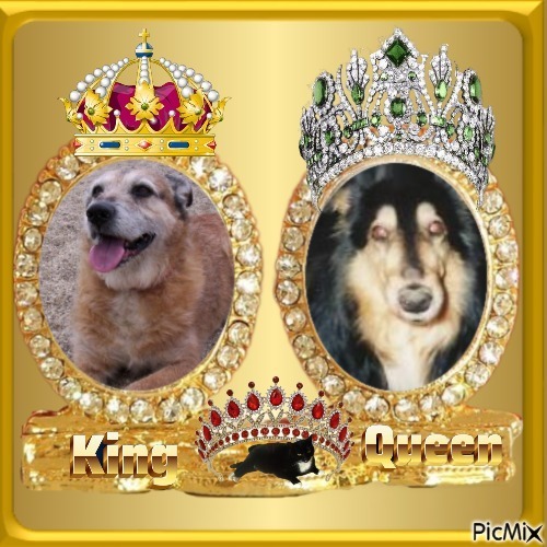 Freddy of the Asiya family