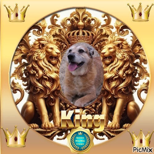 Freddy of the Asiya family