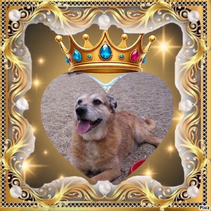 Asiya uploaded   8  day/s  ago