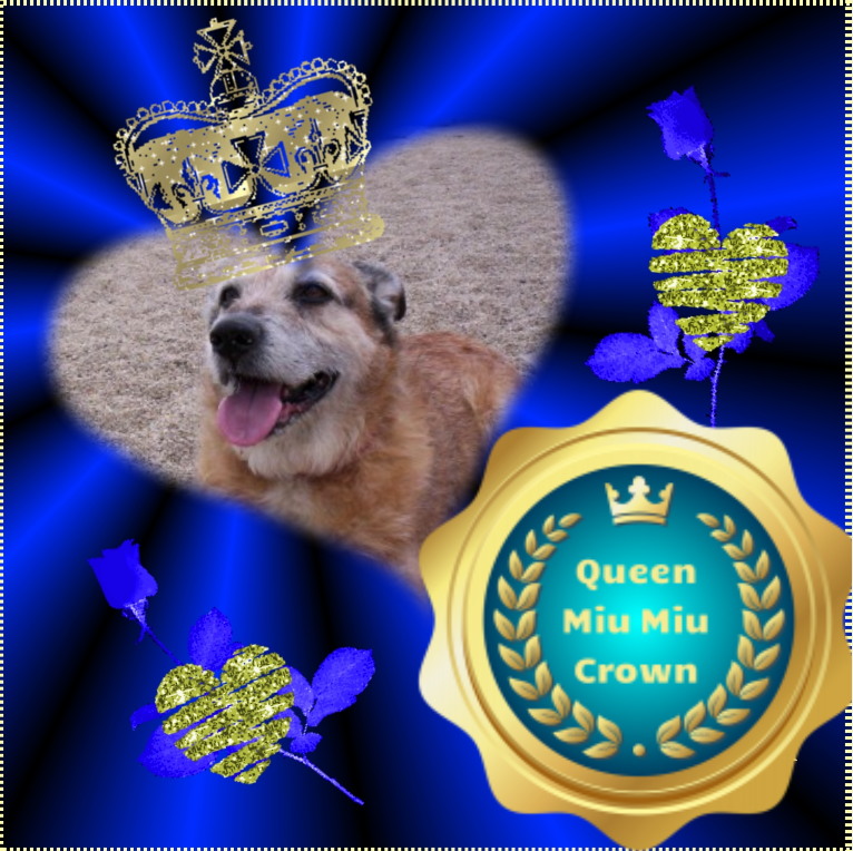 Freddy of the Asiya family