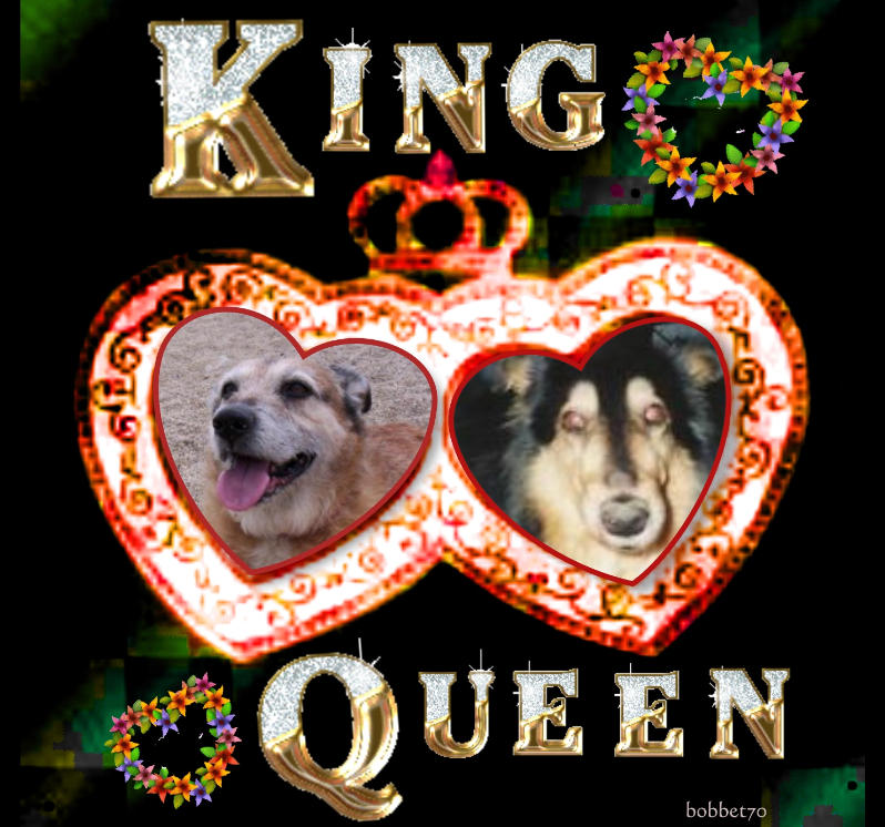 Asiya uploaded   5 hour/s ago