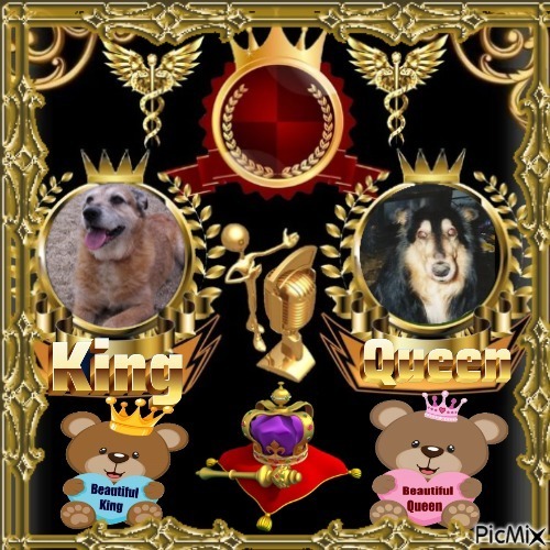 Freddy of the Asiya family