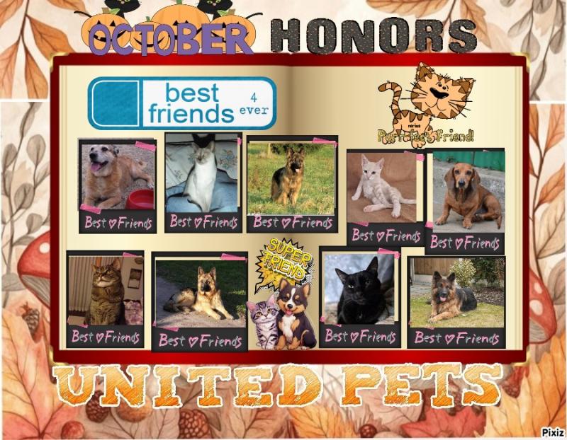 Freddy of the Asiya family