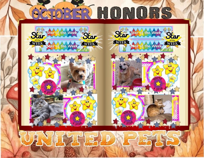 Freddy of the Asiya family