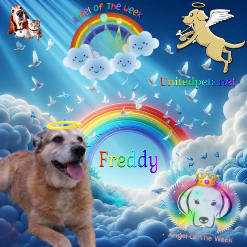 Asiya uploaded   34  day/s  ago