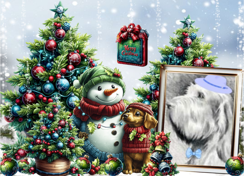 Duke Senior of the Asiya family