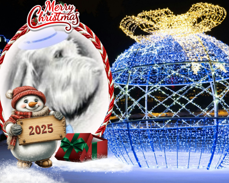 Duke Senior of the Asiya family