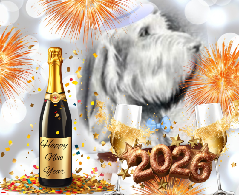 Duke Senior of the Asiya family