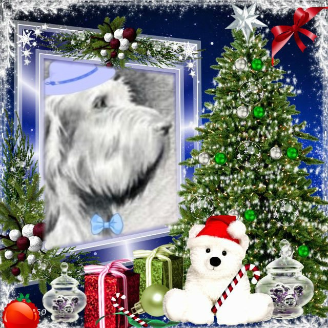 Duke Senior of the Asiya family