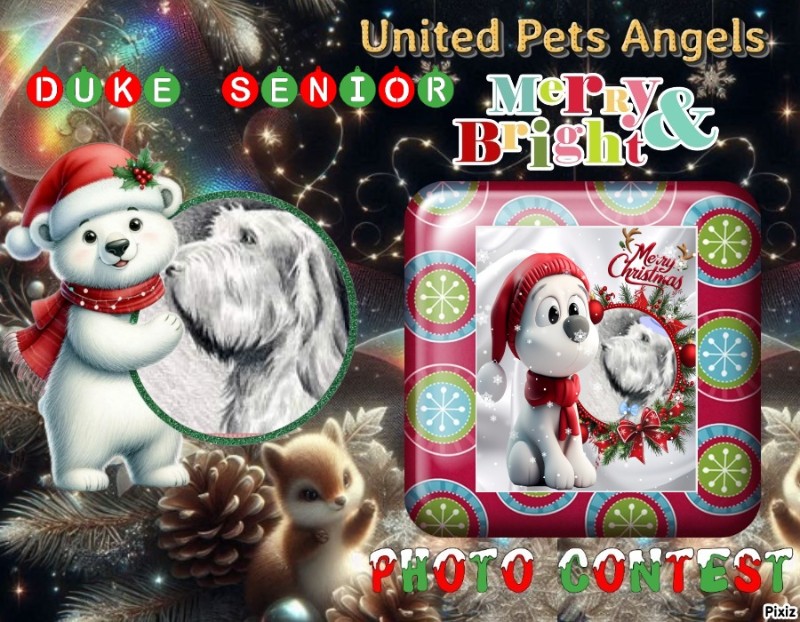 Duke Senior of the Asiya family