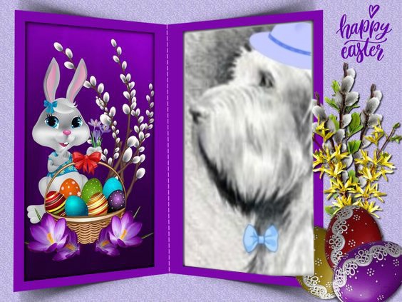 Duke Senior of the Asiya family