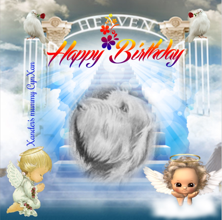 Duke Senior of the Asiya family