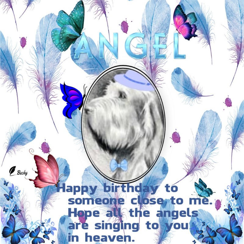 Duke Senior of the Asiya family