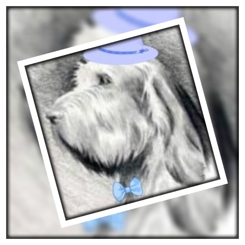 Duke Senior of the Asiya family