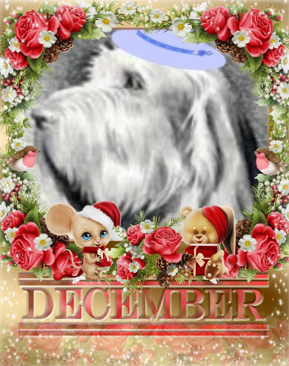 Duke Senior of the Asiya family