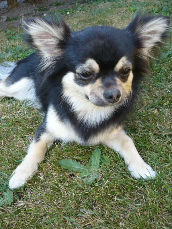 BISOUNOURS uploaded   5 year/s ago