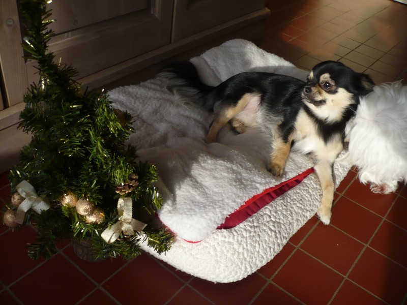 BISOUNOURS uploaded   5 year/s ago