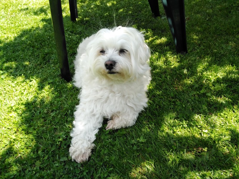 BISOUNOURS uploaded   6 year/s ago