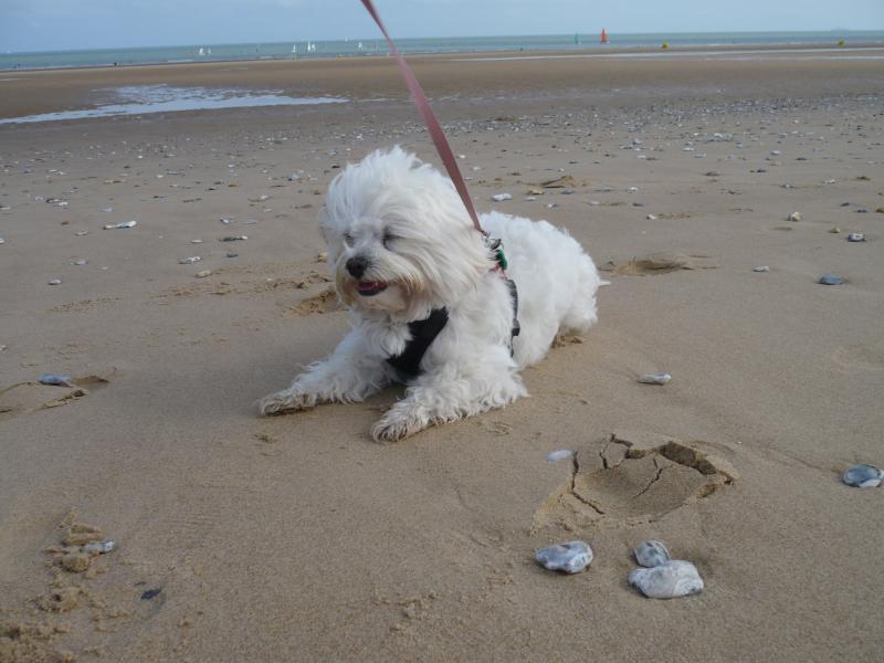 BISOUNOURS uploaded   11 year/s ago