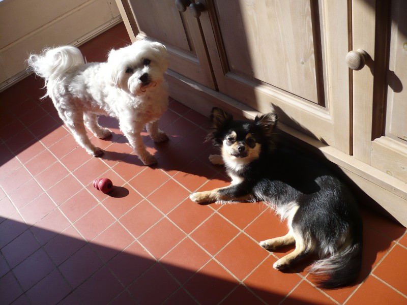 BISOUNOURS uploaded   5 year/s ago