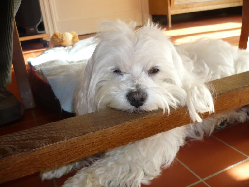 BISOUNOURS uploaded   11 year/s ago