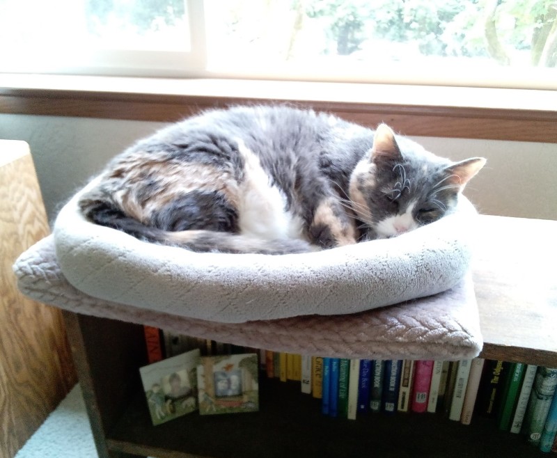 Blanche uploaded   2 year/s ago