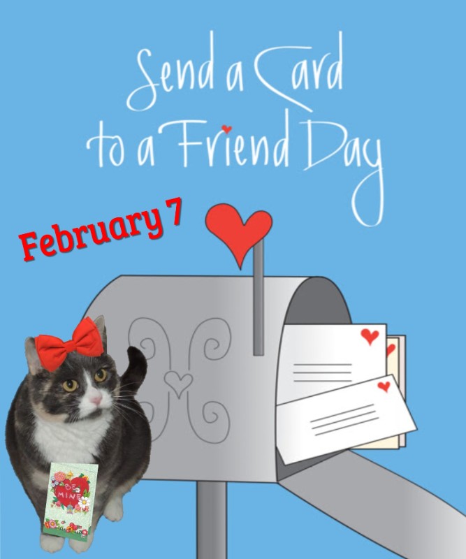 Blanche uploaded   79  day/s  ago