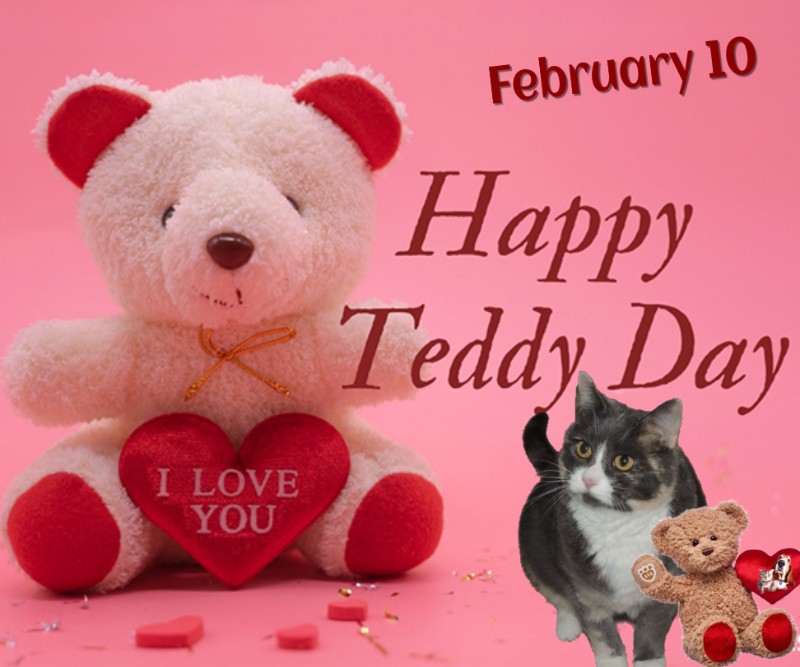 Blanche uploaded   76  day/s  ago