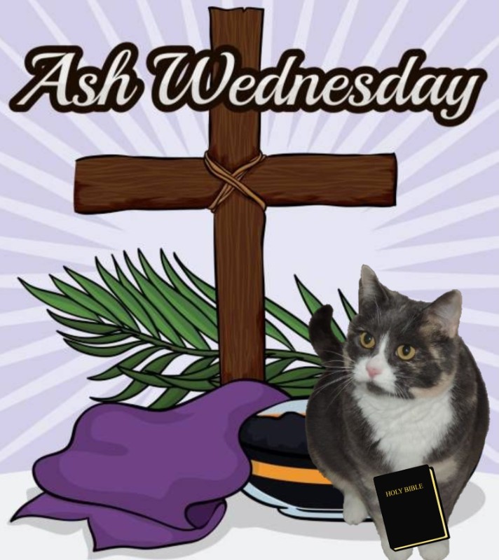 Blanche uploaded   67  day/s  ago