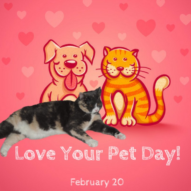 Blanche uploaded   65  day/s  ago