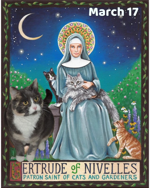 Blanche uploaded   30  day/s  ago