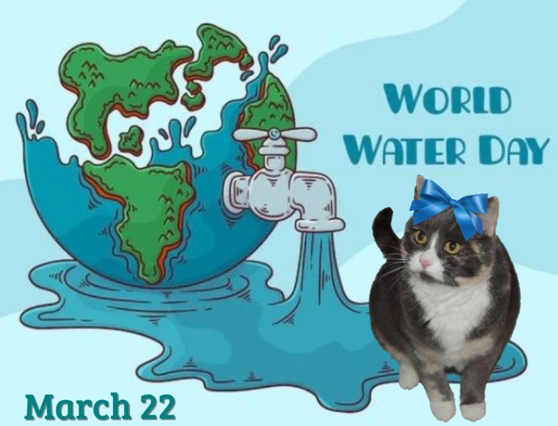 Blanche uploaded   21  day/s  ago