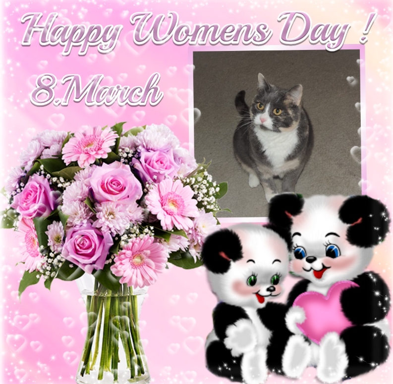 Blanche uploaded   46  day/s  ago