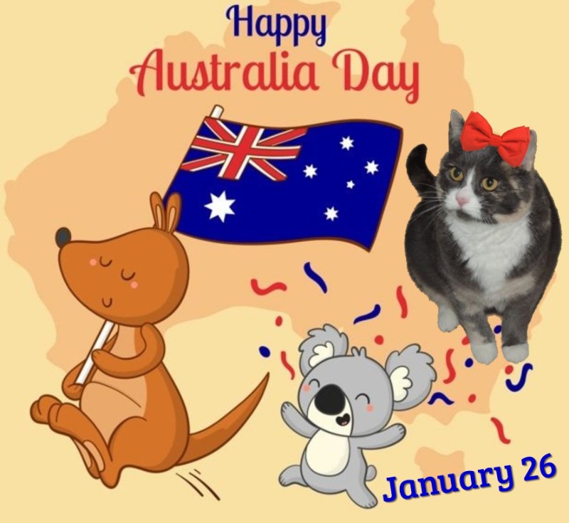 Blanche uploaded   93  day/s  ago